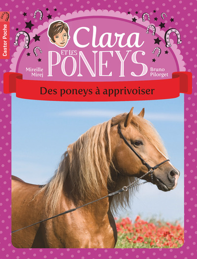 CLARA ET LES PONEYS T5 - DES PONEYS A APPRIVOISER