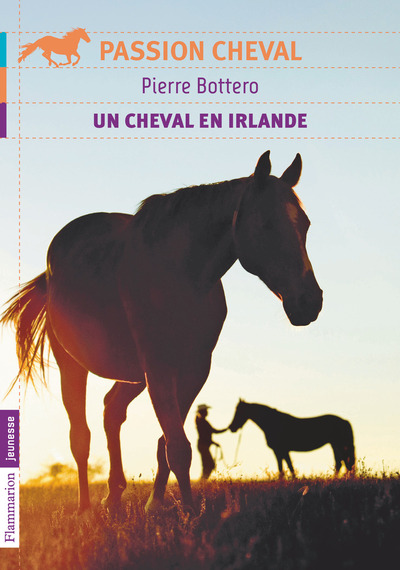 CHEVAL EN IRLANDE - PASSION CHEVAL