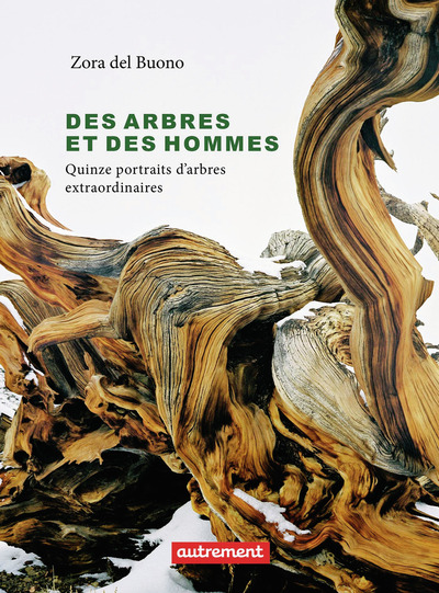 DES ARBRES ET DES HOMMES