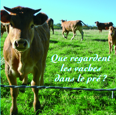 QUE REGARDENT-ELLES LES VACHES DANS LE PRE?