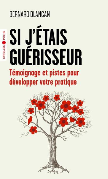 SI J´ETAIS GUERISSEUR - TEMOIGNAGE ET PISTES POUR DEVELOPPER VOTRE PRATIQUE