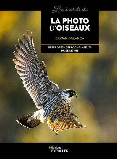 LES SECRETS DE LA PHOTO D´OISEAUX - REPERAGES - APPROCHE - AFFUTS - PRISE DE VUE