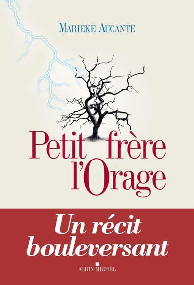 PETIT FRERE DE L´ORAGE