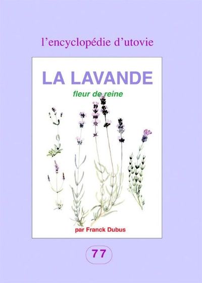 LAVANDE - FLEUR DE REINE