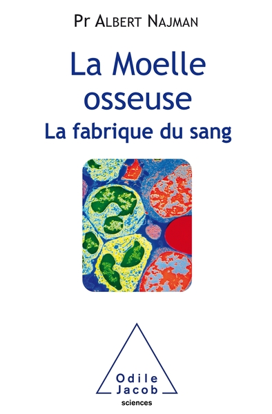 MOELLE OSSEUSE, LA FABRIQUE DU SANG