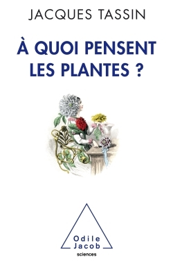 A QUOI PENSENT LES PLANTES ?