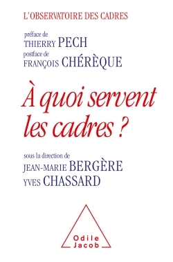 A QUOI SERVENT LES CADRES