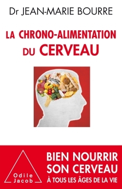 CHRONO-ALIMENTATION DU CERVEAU