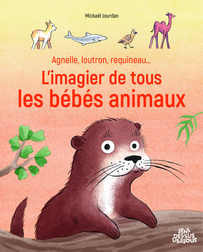 L´IMAGIER DE TOUS LES BEBES ANIMAUX - AGNELLE, LOUTRON, REQUINEAU...