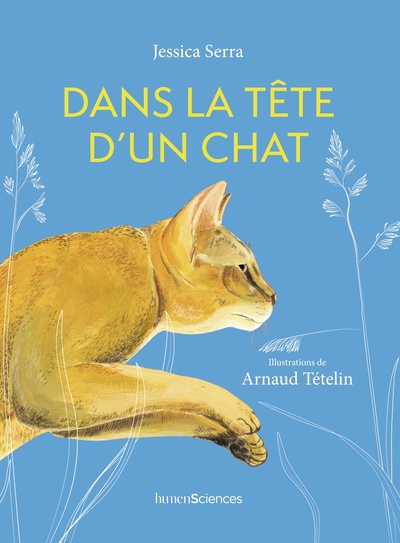 DANS LA TETE D´UN CHAT