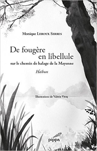 DE FOUGERE EN LIBELLULE