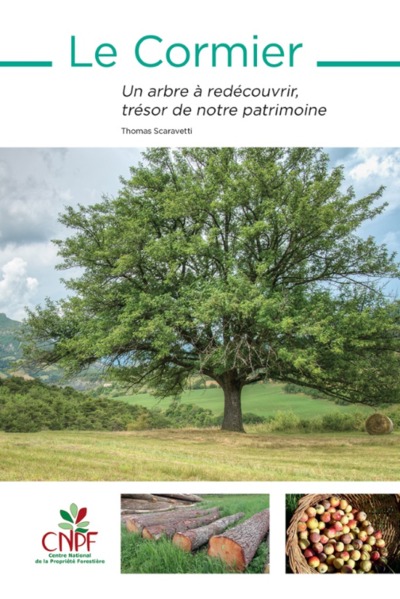 CORMIER - UN ARBRE A REDECOUVRIR, TRESOR DE NOTRE PATRIMOINE