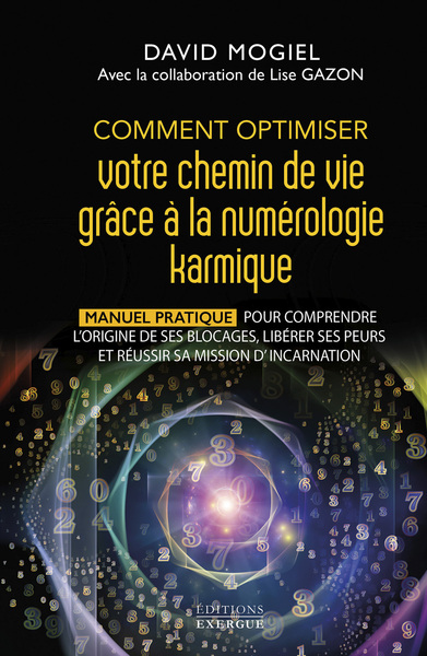 COMMENT OPTIMISER VOTRE CHEMIN DE VIE GRACE A LA NUMEROLOGIE KARMIQUE - MANUEL PRATIQUE POUR COMPREN