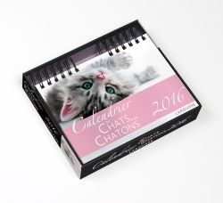 CALENDRIER CHATS ET CHATONS 2016