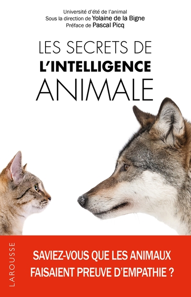 SECRETS DE L´INTELLIGENCE ANIMALE