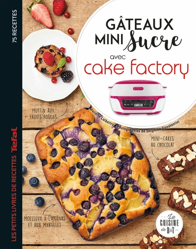 GATEAUX MINI SUCRE AVEC CAKE FACTORY