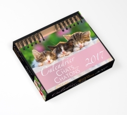 CALENDRIER DES CHATS ET DES CHATONS 2017