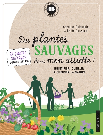 DES PLANTES SAUVAGES DANS MON ASSIETTE !