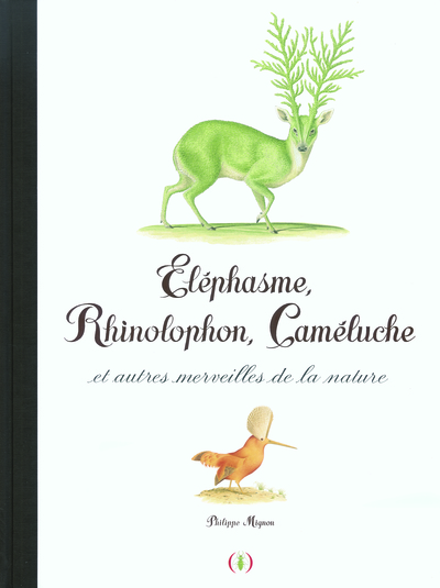 ELEPHASME, RHINOLOPHON, CAMELUCHE ET AUTRES MERVEILLES DE LA NA