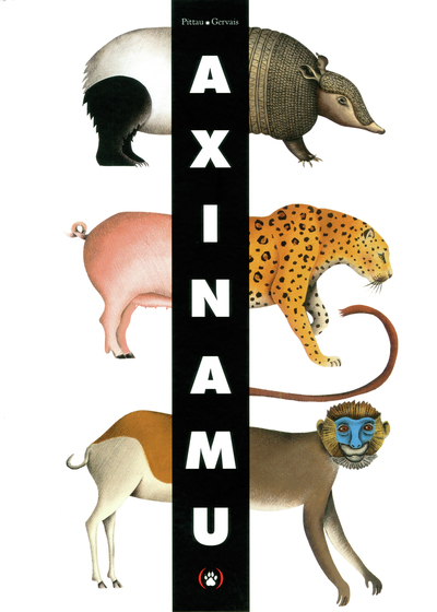 AXINAMU