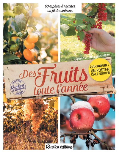 DES FRUITS TOUTE L´ANNEE