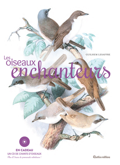 OISEAUX ENCHANTEURS
