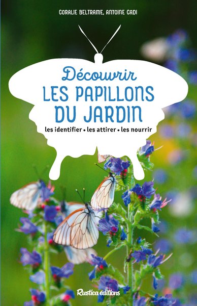 DECOUVRIR LES PAPILLONS DU JARDIN