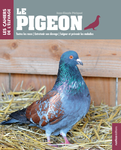 PIGEON