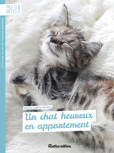 CHAT HEUREUX EN APPARTEMENT