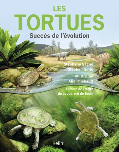 TORTUES - SUCCES DE L´EVOLUTION