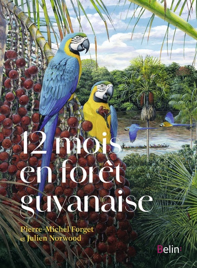 12 MOIS EN FORET GUYANAISE