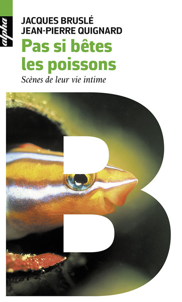 PAS SI BETES LES POISSONS (POCHE)