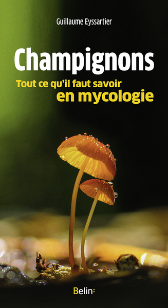 CHAMPIGNONS, TOUT CE QU´IL FAUT SAVOIR EN MYCOLOGIE