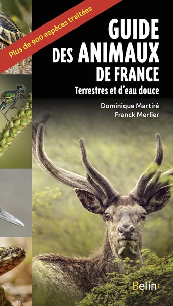 GUIDE DES ANIMAUX DE FRANCE - TERRESTRES ET EAU DOUCE