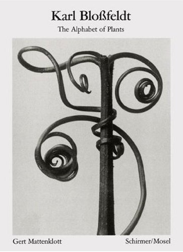 KARL BLOSSFELDT THE ALPHABET OF PLANTS (BIBLIOTHEQUE VISUELLE) /ANGLAIS