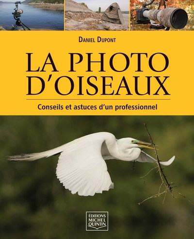 PHOTO D OISEAUX - CONSEILS ET ASTUCES D UN PROFESSIONNEL