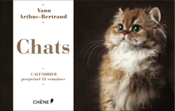 CALENDRIER 52 SEMAINES CHATS