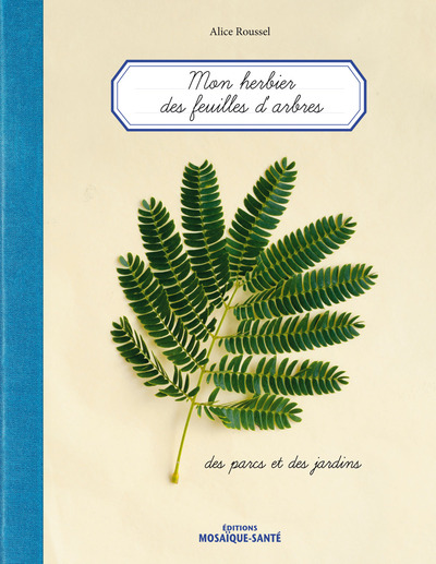 MON HERBIER DES FEUILLES D´ARBRES