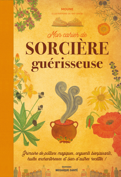 MON CAHIER DE SORCIERE GUERISSEUSE - GRIMOIRE DE POTIONS MAGIQUES, ONGUENTS BIENFAISANTS, HUILES ENC