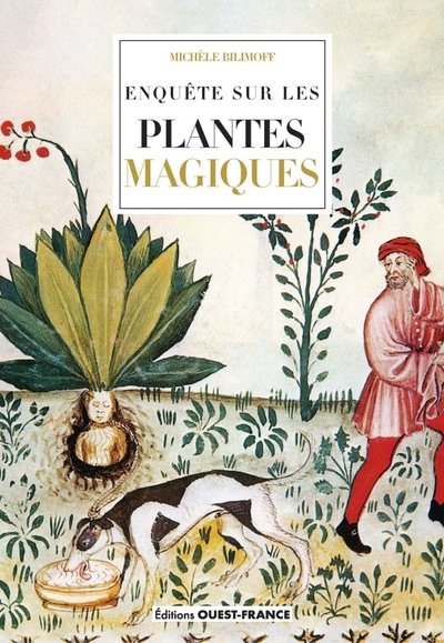 ENQUETE SUR LES PLANTES MAGIQUES