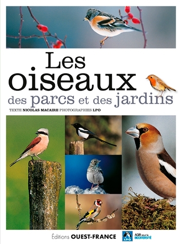 OISEAUX DES PARCS ET DES JARDINS