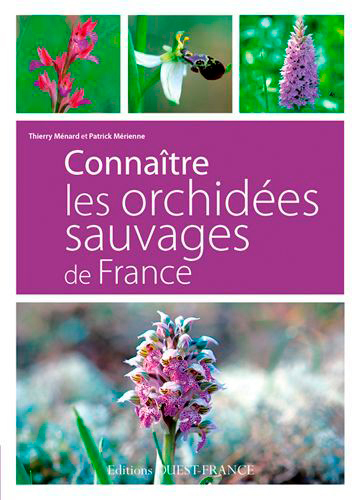CONNAITRE LES ORCHIDEES SAUVAGES DE FRANCE