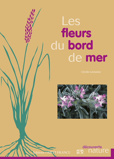 FLEURS DU BORD DE MER MANCHE ATLANTIQUE MEDITERRANEE