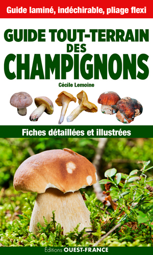 GUIDE TOUT TERRAIN DES CHAMPIGNONS