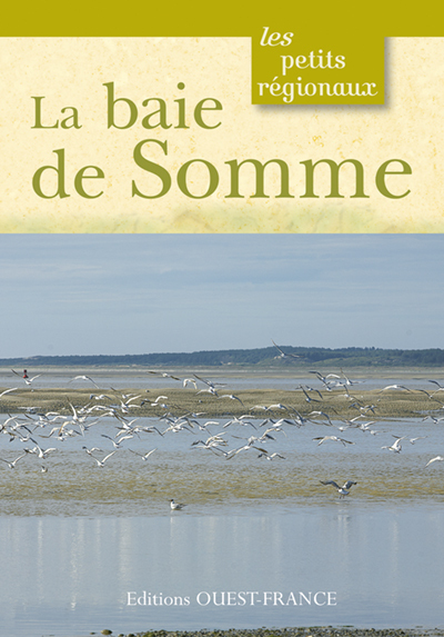 BAIE DE SOMME (PETITS REGIONAUX)