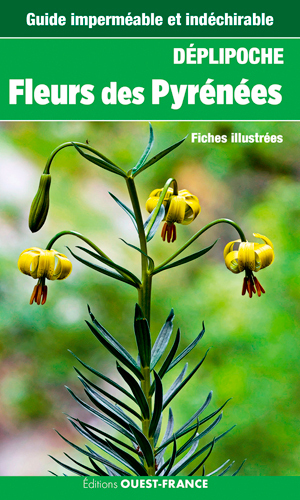 FLEURS DES PYRENEES (DEPLIPOCHE - CARTE LAMINEE)