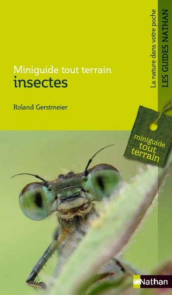 INSECTES