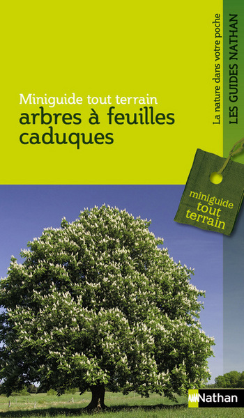 ARBRES A FEUILLES CADUQUES