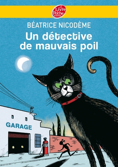 DETECTIVE DE MAUVAIS POIL