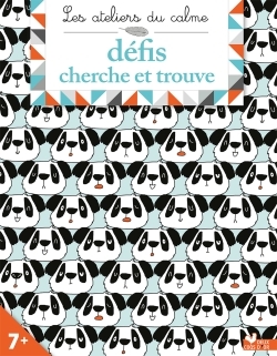 DEFIS CHERCHE ET TROUVE